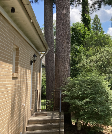 Exterior View - Carriage House Apartment- Peaceful and Convenient