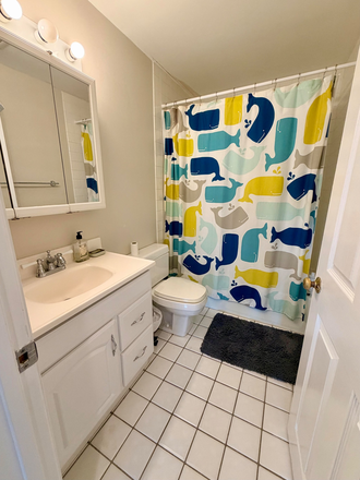 Common bathroom - 2 Bed 2 Bath Apartment Near Campus