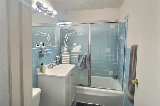 apartment - BU/Allston/1 bedroom Apartments