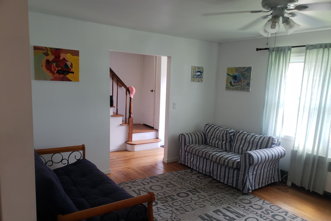 Living room - Law students, Med students, Grad students this house is for you!