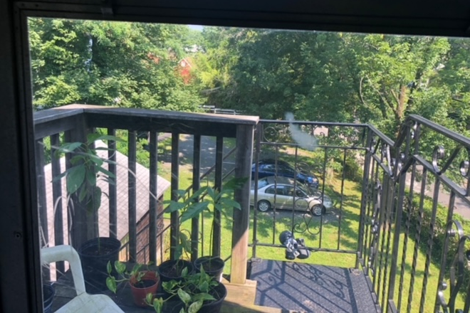view of parking area from rear balcony - 1BR apt #3 for PU affiliate only-Hawthorne Ave-Princeton