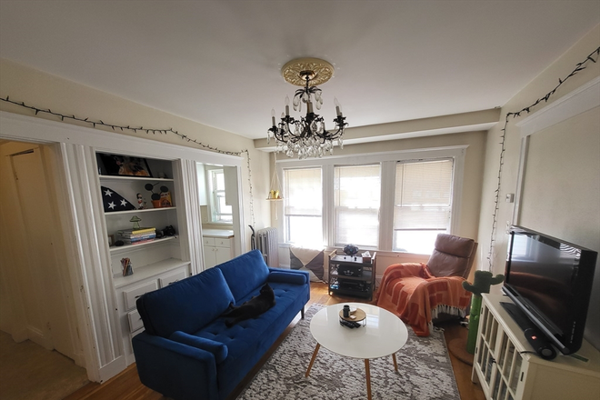 Living Room View 1 - 3 Bedroom Apartment Somerville: Porter/Davis/Ball Square