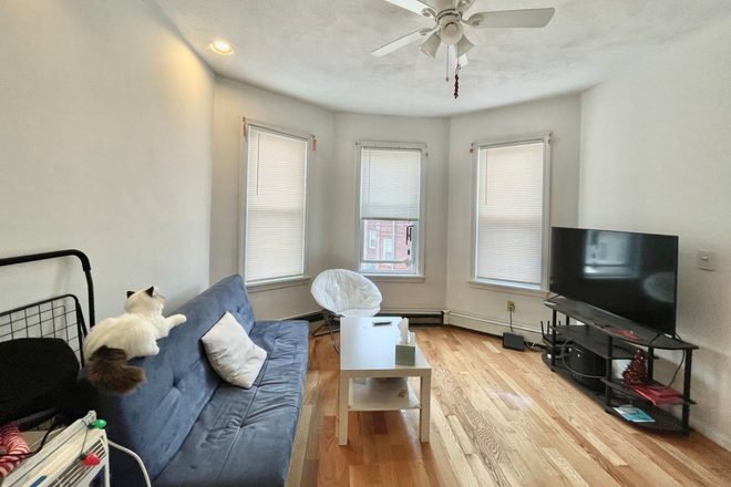 living room - *NO BROKERS FEE!* Updated 3 Bed / 1 Bath near HBS! Apartments