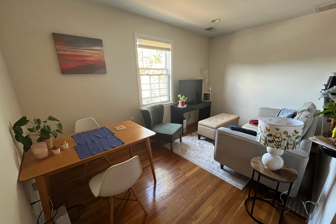 Living room. Can share a video walk-through upon request! - ISO roommate for 2bd/1ba between Rosslyn & Courthouse neighborhoods