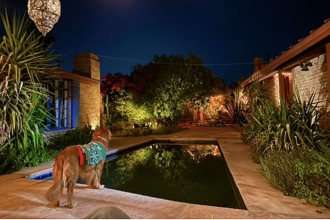 Courtyard with small pool and landscaping. - Charming Guesthouse near UA/UMC
