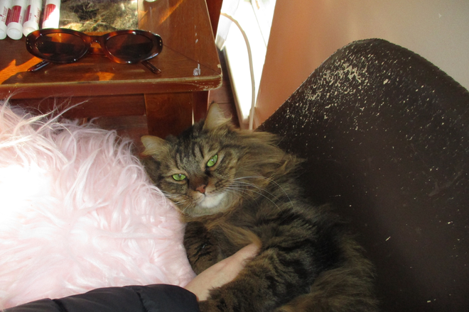 Pickles! - Vine and Main St! Not the right address*** but near this address Duplex