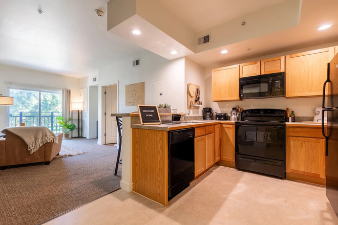 Kitchen and living room - University House Apartment