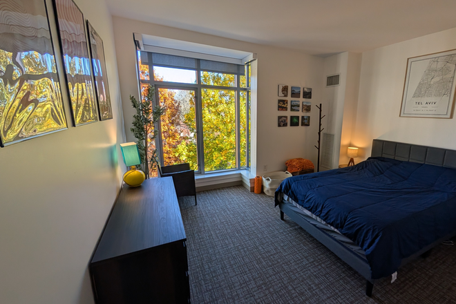 Primary bedroom with a large bay window. - Huge apartment near Harvard Square with great natural light for families or two roommates