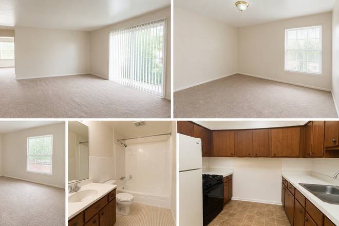 2 Bedroom, 1 Bathroom and 1 Kitchen apartment - Beau Jardin