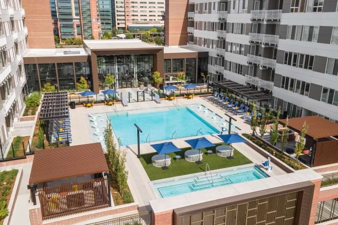Swimming pool - Fellow at Fitzsimons (Lease Transfer)