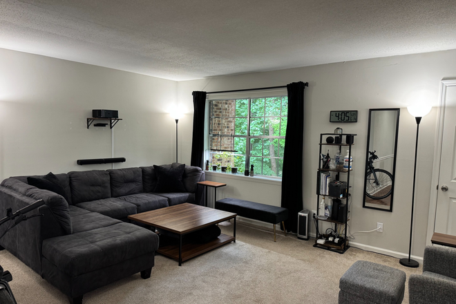 Living Room View 1 - Carolina Apartments