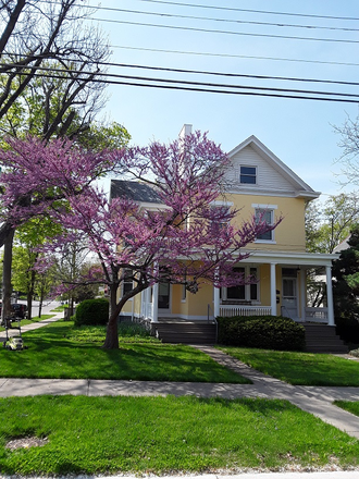 Beautiful home with grand porch and swing. - Lg, furn 1-2 BR. Gar. Yard. Balc. Near restaurants. Util, wifi incl. Near bus. 15 min to UC/XU