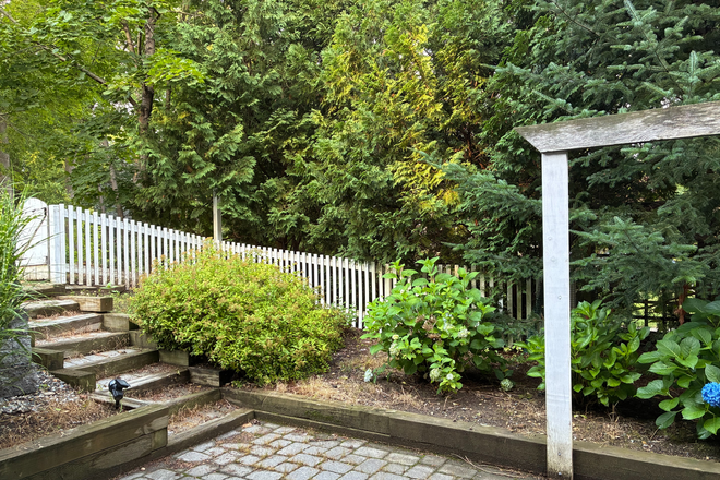 Patio Garden - Amherst Historic District Studio - UTILITIES INCLUDED - Available NOW! Apartments
