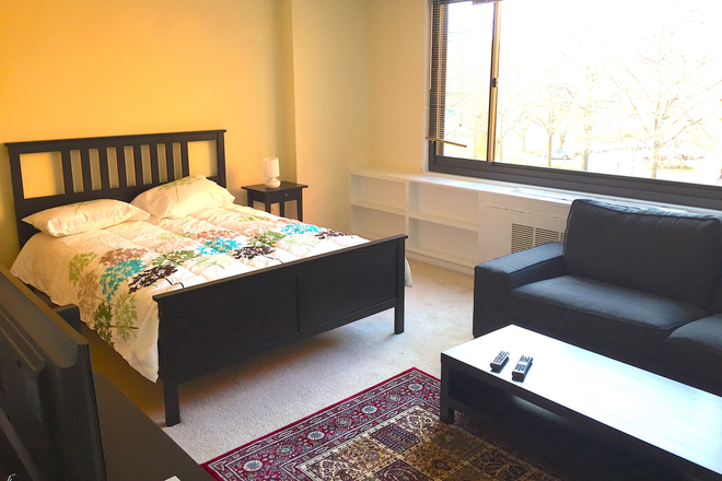 bedroom - Fully Furnished large studio . Beautiful Fully furnished large studio!!