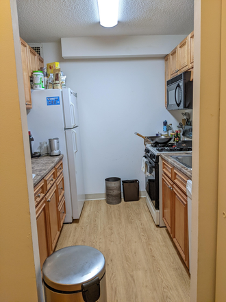 kitchen - 2 bed/2bath in brookline (1 private bedroom with private bath available)