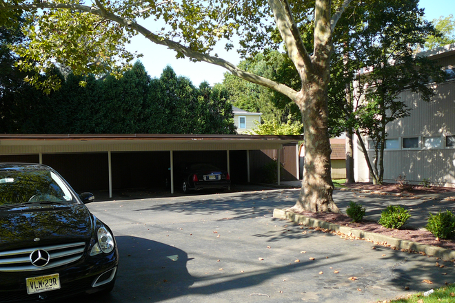 Carports and Storage Shed Behind Parking Space - 2BR apt-George St-Lawrenceville