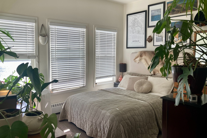 Bedroom - Bright Studio Near UC Berkeley