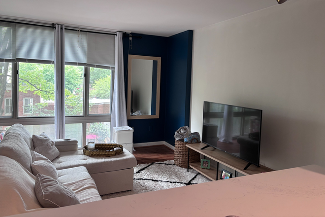 Living Room - Fully Furnished 1 Bedroom in the Heart of Foggy Bottom!