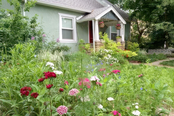 Front yard - Green Bean Spring/Summer Sublease