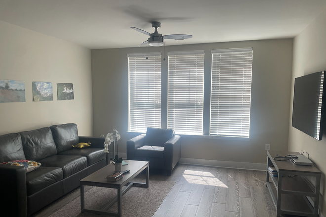 Living room - The Oasis Apartments