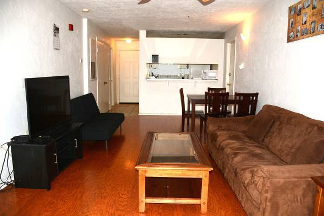 Living area - Pleasant View Apartment, close to UF
