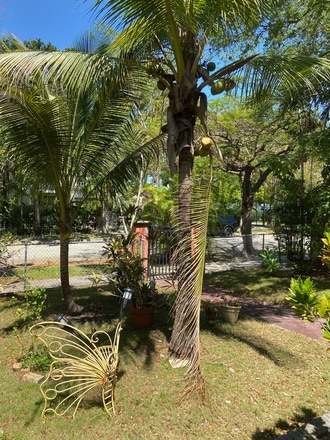 Front Yard - Tropical Studio 1 Bedroom 1 bathroom with backyard, pool, and private entrance
