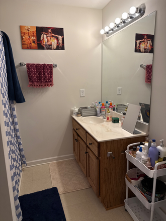 bathroom - University Heights Townhome