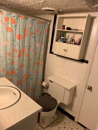 Bathroom - Very Spacious 1.5 Bed Apartment - $1400.00 per month including Utilities