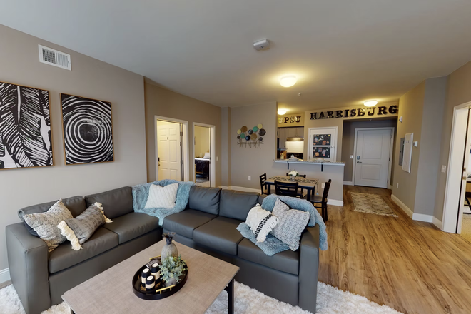 Kitchen/Living Room - Campus Heights Premier