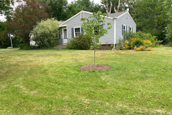 Front lawn/street view - Comfortable small house with large yard, abundant plants and trees, in quiet neighborhood