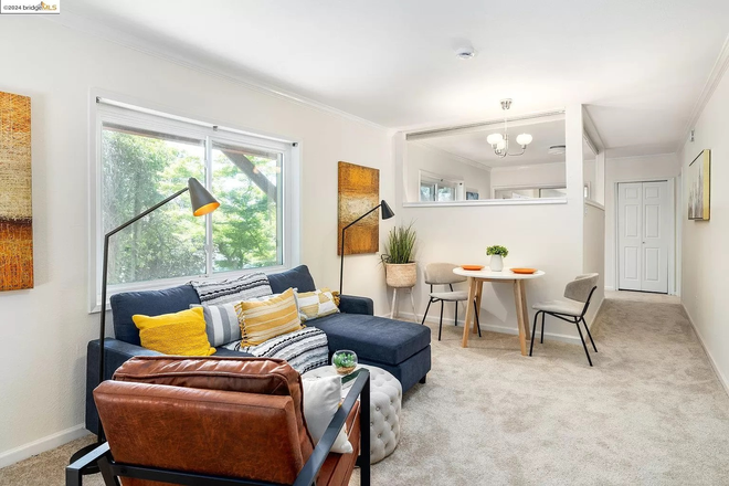 Living Room - 1 Bedroom Apartment next to Claremont Hotel. Great bay Views and Accessible To Campus