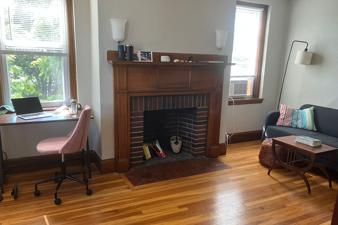 Living room - Summer sublet: Gorgeous sunny 1-bedroom by Davis Sq/Porter Sq