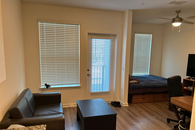 Living room area - The Accolade at Collegiate Village West Apartments