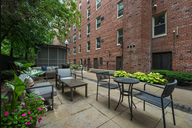 Shared backyard - Cozy Brighton Apartment with Gym, Lounge & Easy MBTA Access