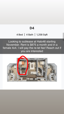 4x4 All Female Unit - Halo46 Apartments