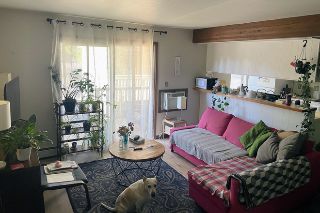 Living room - 1 Bedroom in a shared, furnished apartment in East Boulder