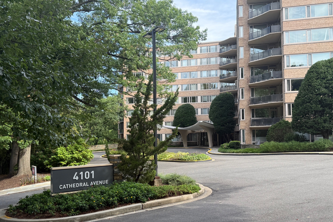 Bldg from Cathedral Ave - Gorgeous Studio in Beautiful Cathedral Heights