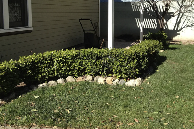 Back patio - 3 - 5 Person House for Sublease (June 1st - July 31st)