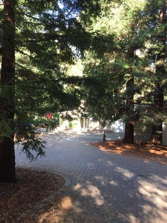 Long driveway to house - 1br -$950 Beautiful Safe House in the Redwods (El Sobrante)
