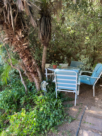 Front garden area - Private Room, private bath, walk to UCR