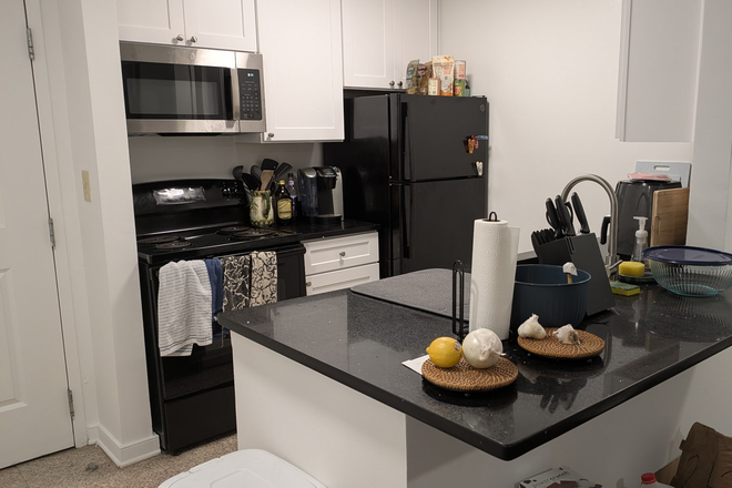 Full Kitchen (Newly remodeled in Summer 2025) - UMD South Campus Commons Building 1 - Spring Sublet