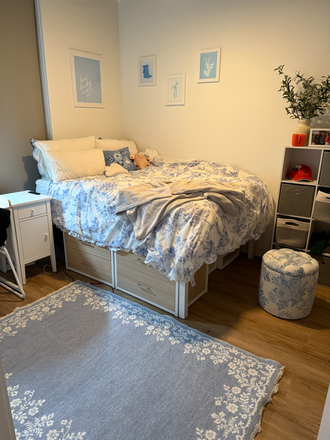 Bedroom - I am subleasing my Vox apartment - Phase 2, super close to campus, roommate is a spring admit!