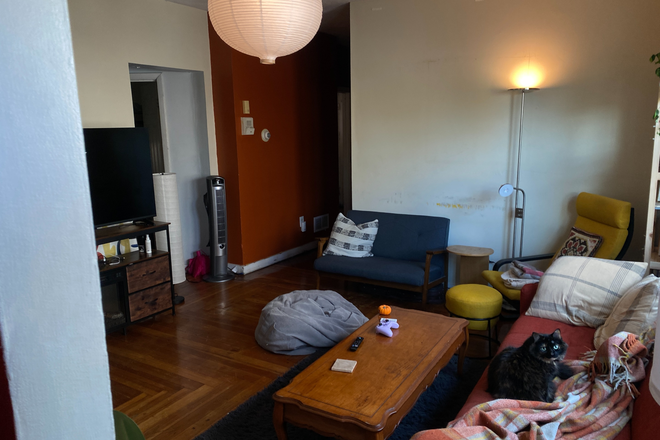 Living room - Spring Sublet/Least takeover — Harvard, MIT, & Tufts