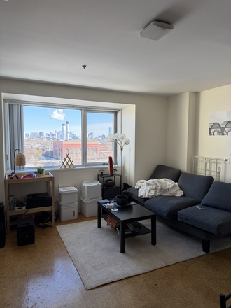 Living room - 1 - 1b1b in 2b2b En Suite1 Western Ave with a stunning Charles River view