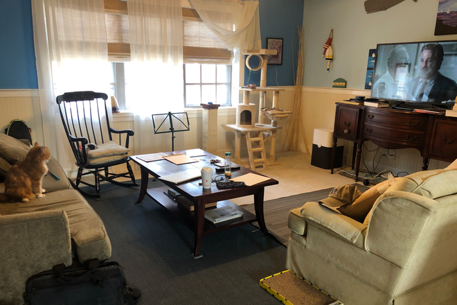 Living room - cat not included - Towne Estates Condominiums
