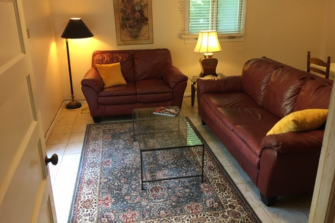Living area - Furnished 1BR apartment, quiet safe neighborhood, T bus line, 3 miles from UNC Campus