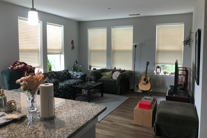 Living Room - 2 BD/2 B Monument Village Apartment - Looking for 1 Roommate