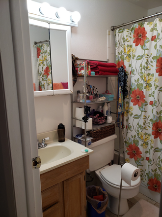 Bathroom - Wimbledon, condominium Madison Ave Apt 112