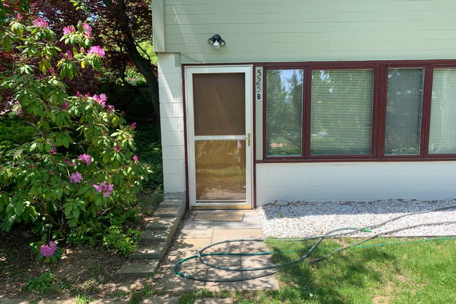 Front door from garden - 525 South Barnard