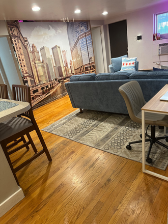 Entance from form door - Fully Furnished 2-Bedroom Condo Near DePaul University- Available 9/1 (9 or 12 month lease)